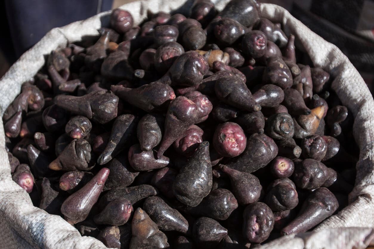 Bolsa de mashua negra