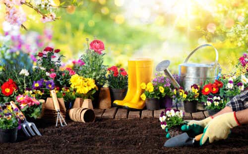 10 herramientas indispensables para cuidar tu jardín durante la primavera