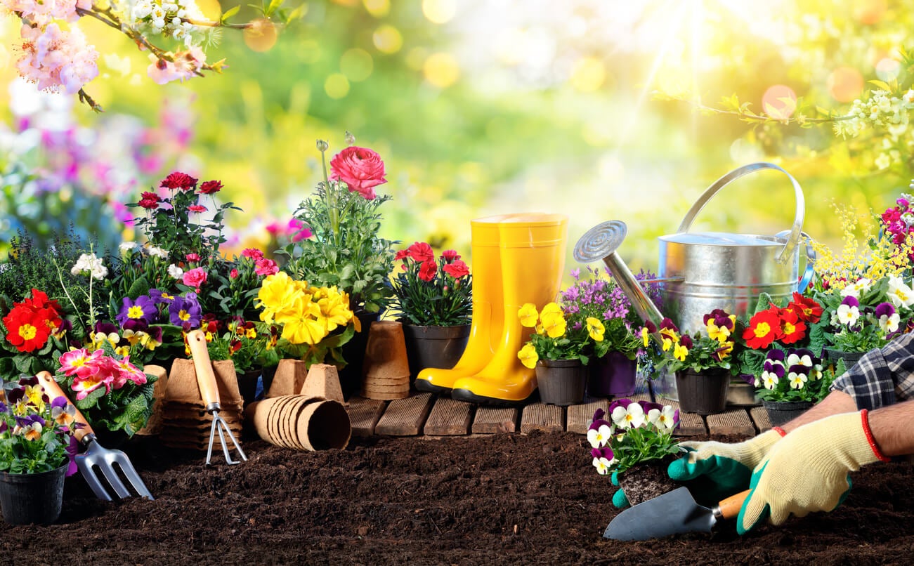 Herramientas de jardinería básicas que no deben faltar en tu jardín.