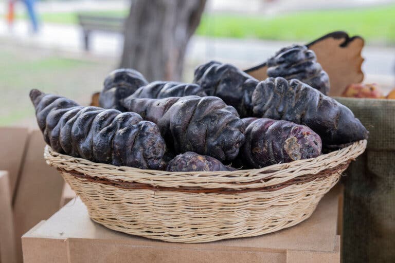 Mashua negra: composición nutricional y posibles beneficios