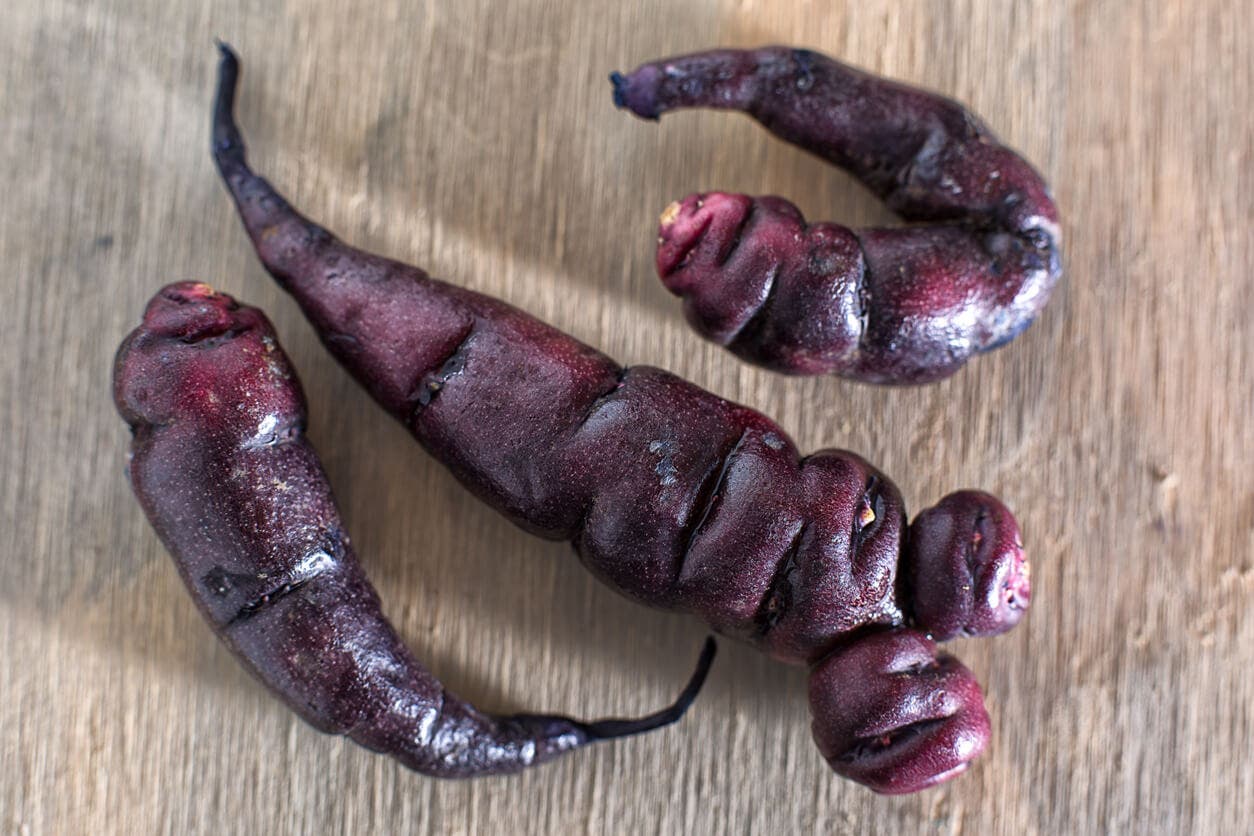 Variedad de mashua negra