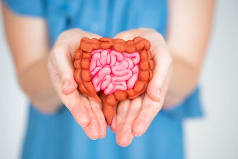 Cuidar la microbiota te ayuda a mejorar los síntomas de la menopausia