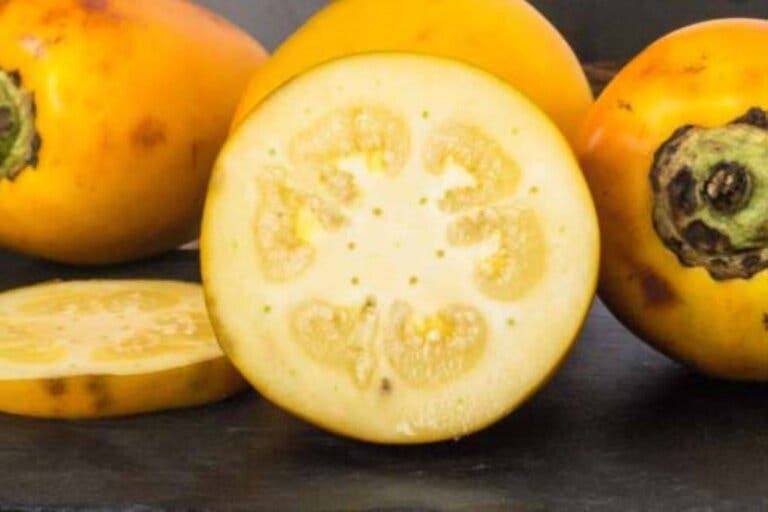 ¿Qué es la cocona y cuáles son sus beneficios para la salud?