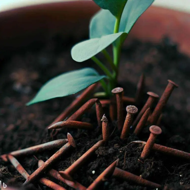 Cómo usar clavos oxidados para aportar hierro a las plantas