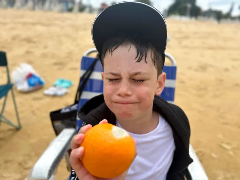 Los 7 alimentos que no deberías llevar a la playa