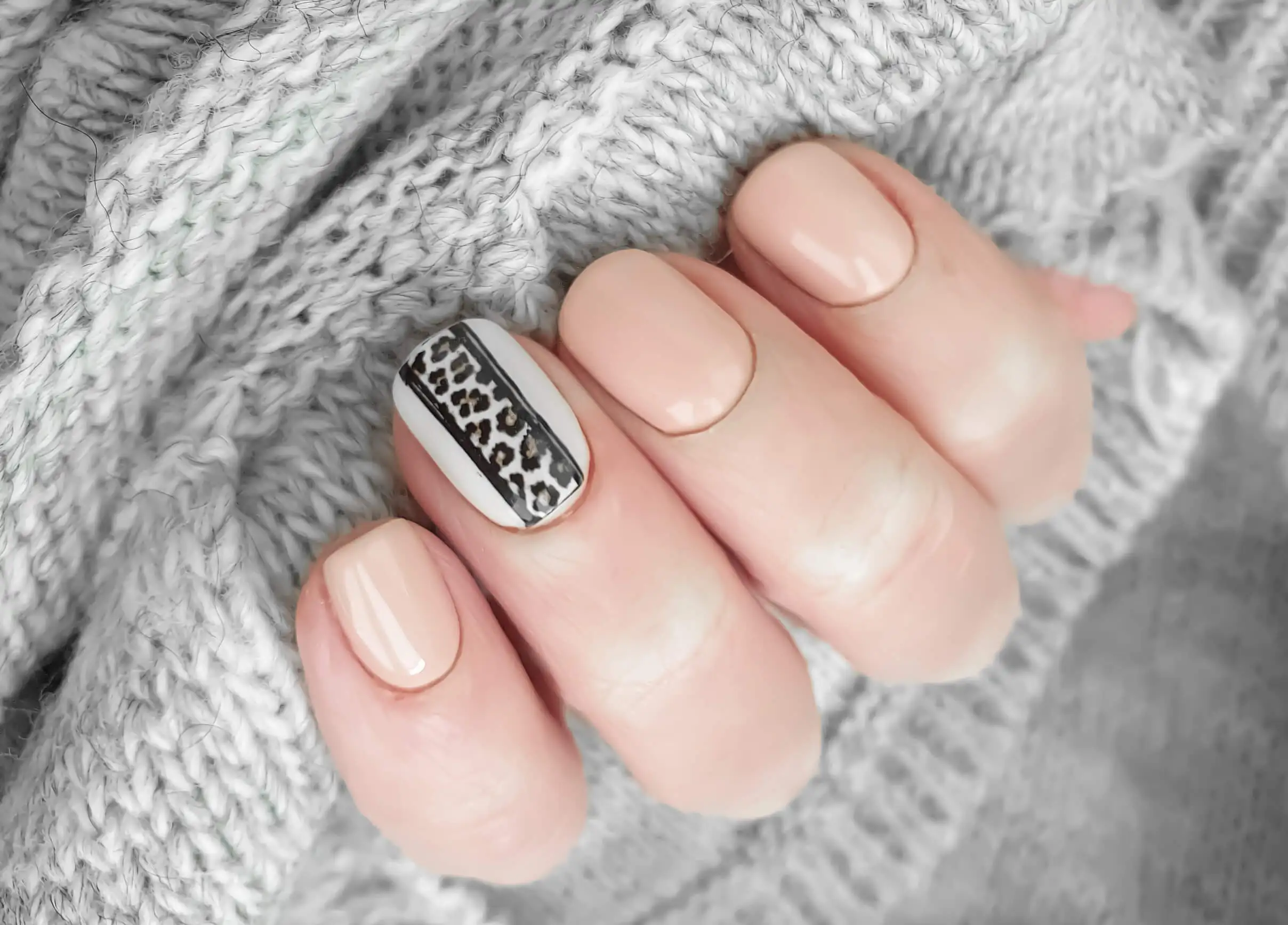 Animal print