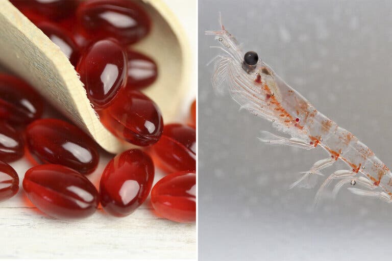 El suplemento marino que ayuda a cuidar la visión y el corazón