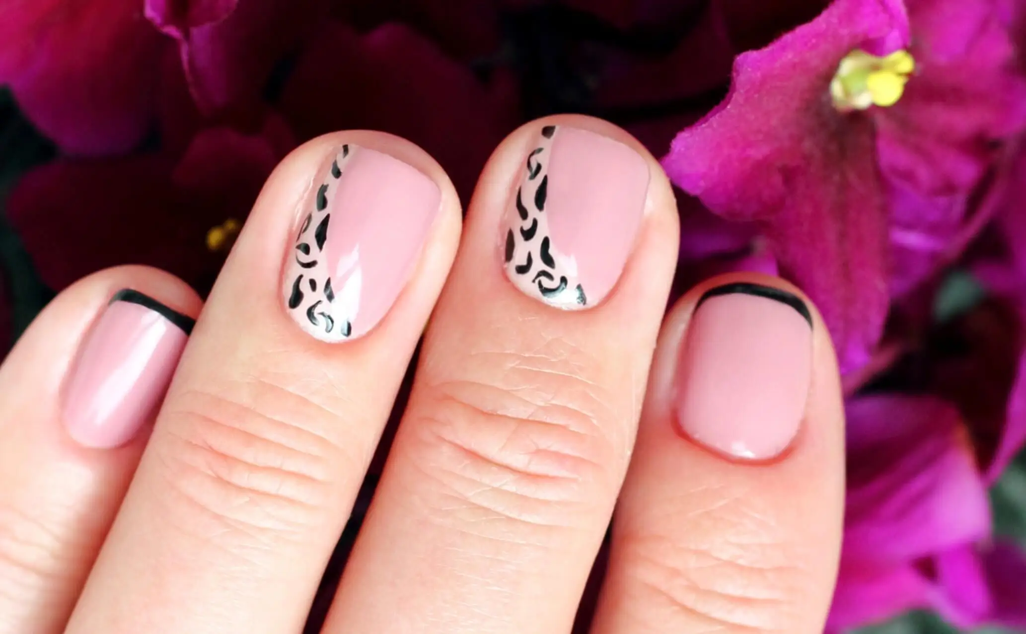 Francés animal print