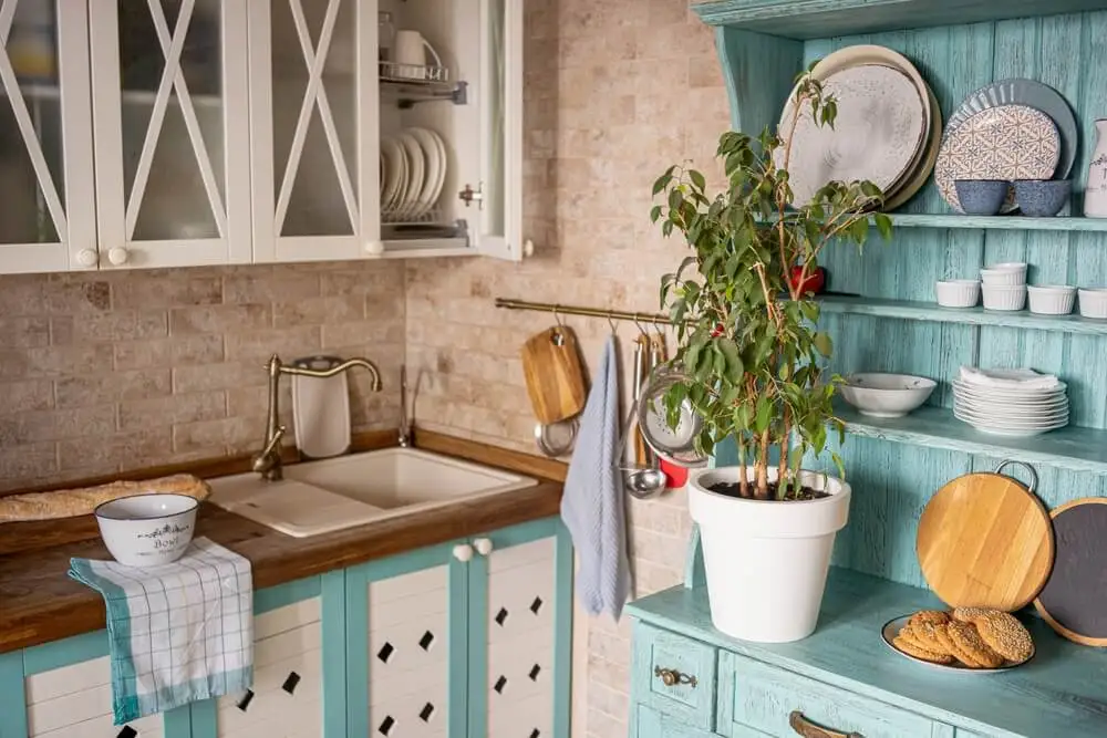 Cocina campestre