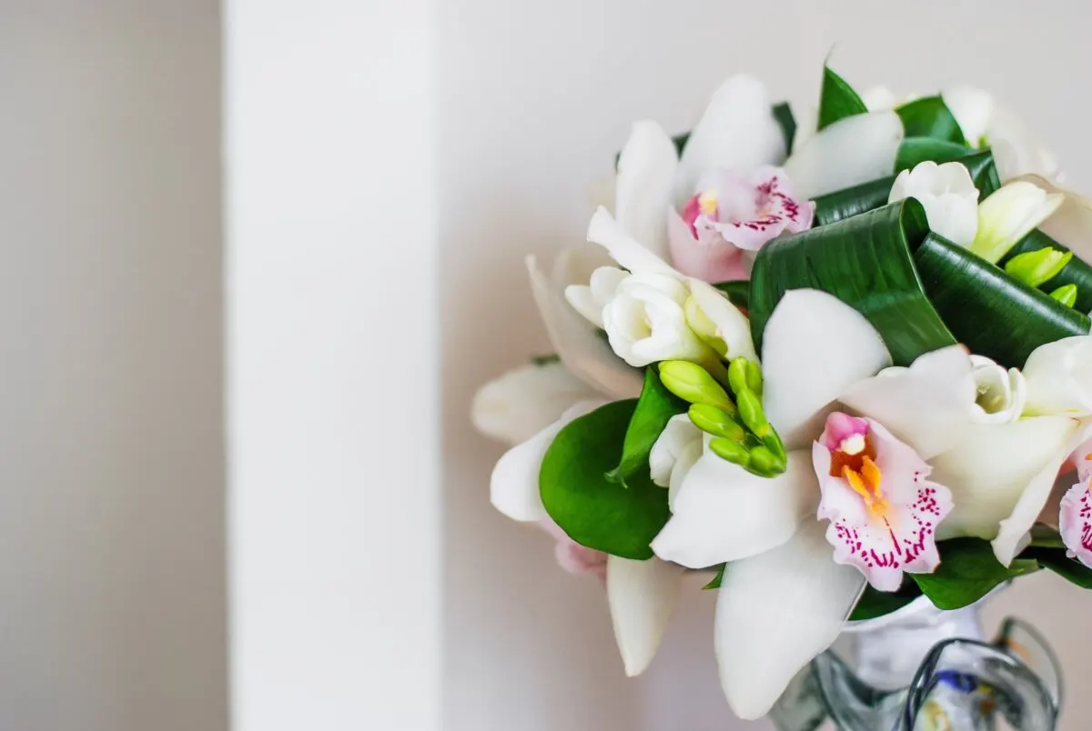 Orquídeas