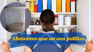 9 alimentos que atraen a las polillas a tu casa y que seguro no conocías