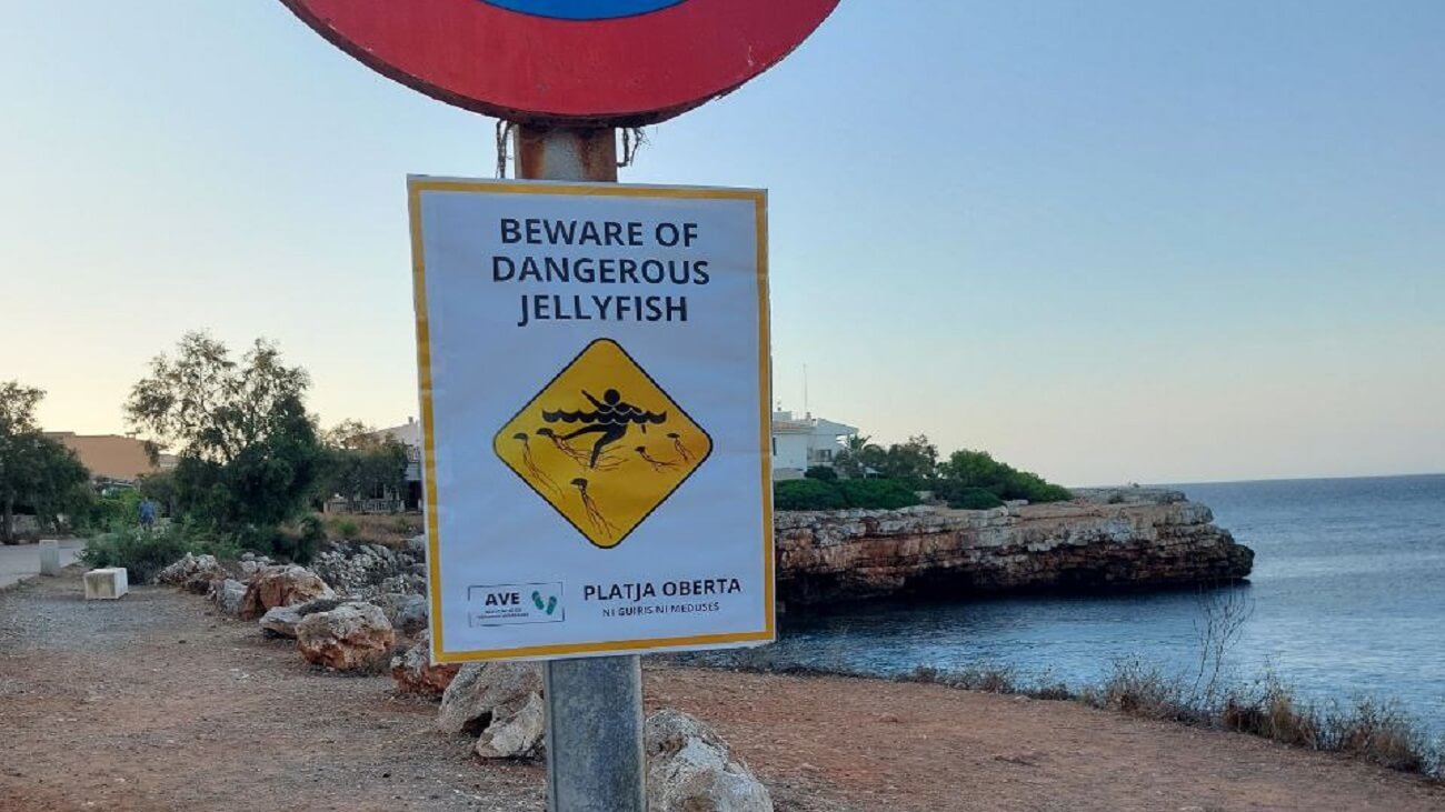 Carteles de turismofobia en Mallorca.