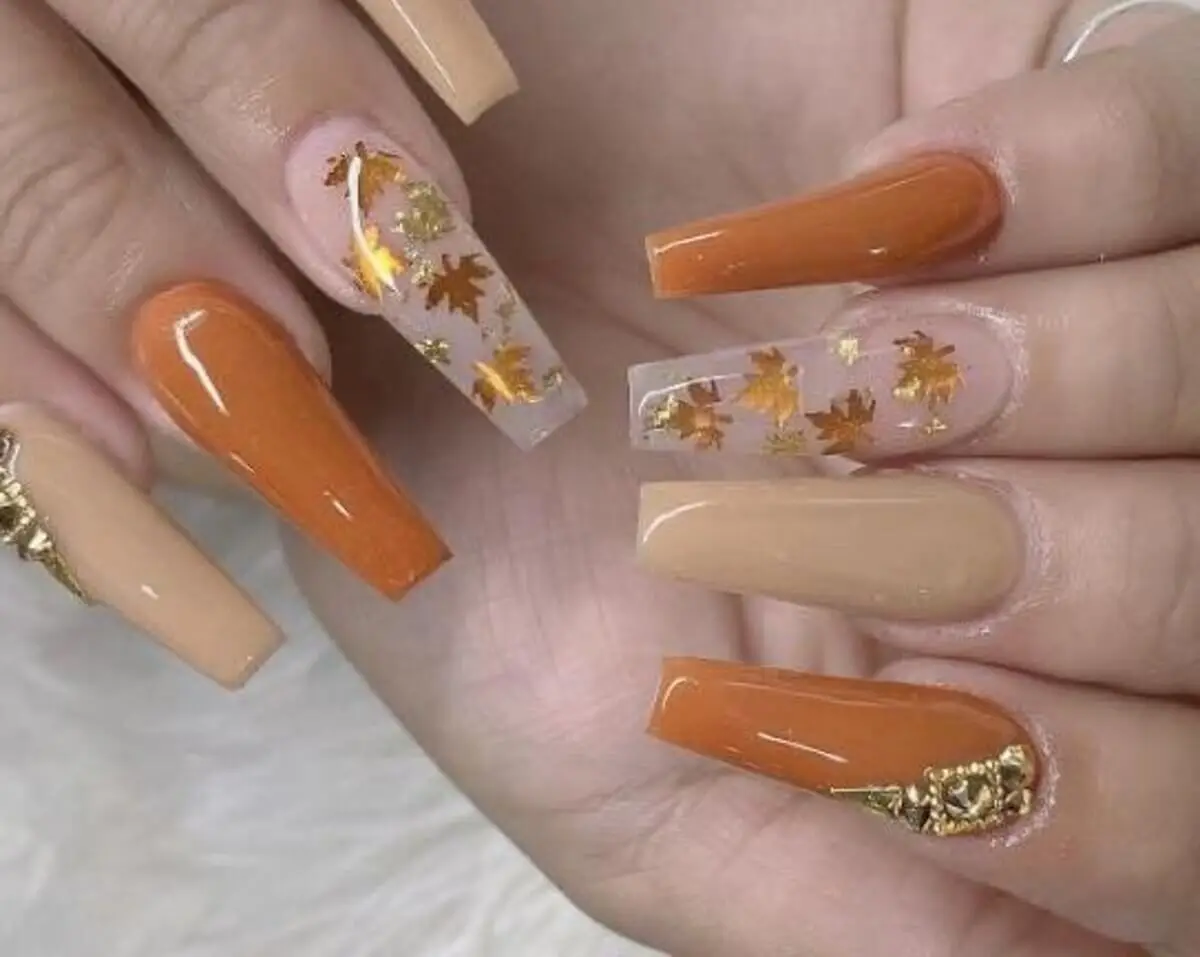 Diseño de hojas