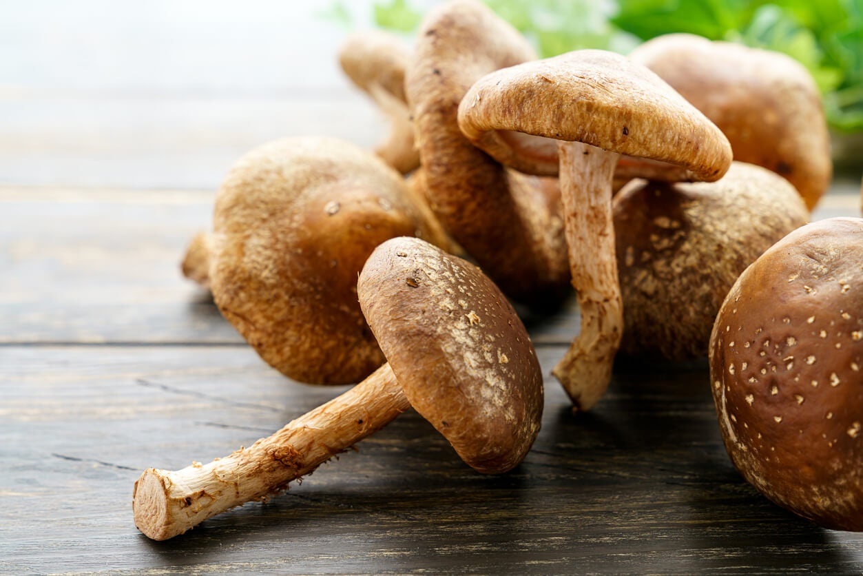Shiitake qué son, beneficios y cómo preparar estas setas de origen
