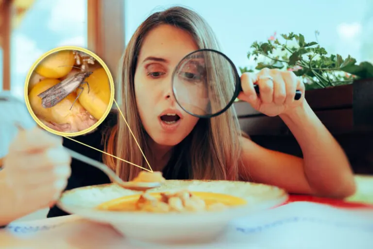 Así se eliminan las polillas de la comida cuando llegan a tu cocina