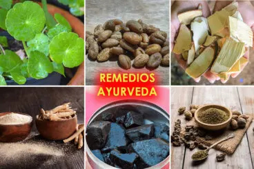 Los 12 remedios ayurveda más usados y sus efectos en la salud