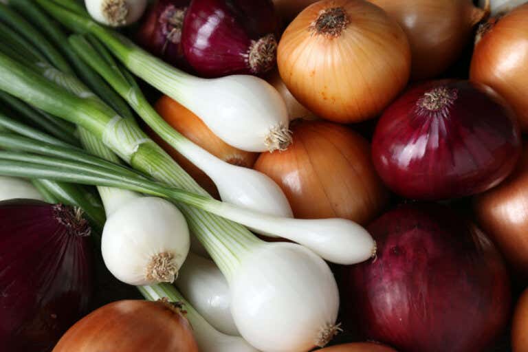 Conoce los 15 tipos de cebolla y sus usos en la cocina