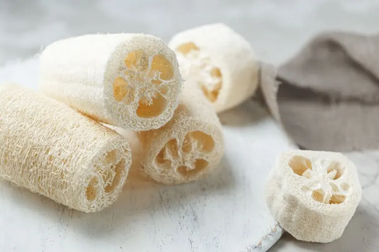 Estropajo de luffa