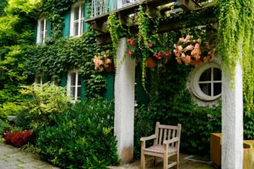 Conoce los 12 tipos de hiedras que existen y cómo diferenciarlas