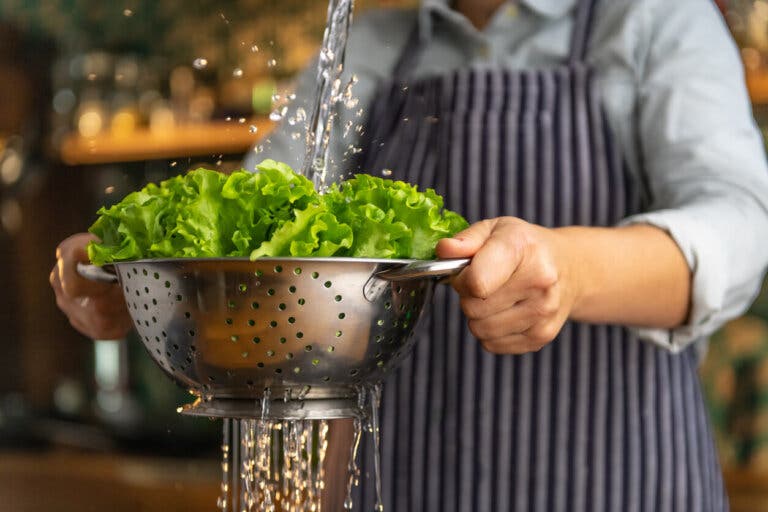 Cómo lavar la lechuga, conoce la forma correcta de hacerlo en 7 pasos