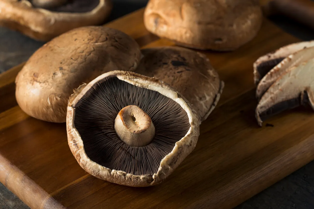 Champignon portobello.