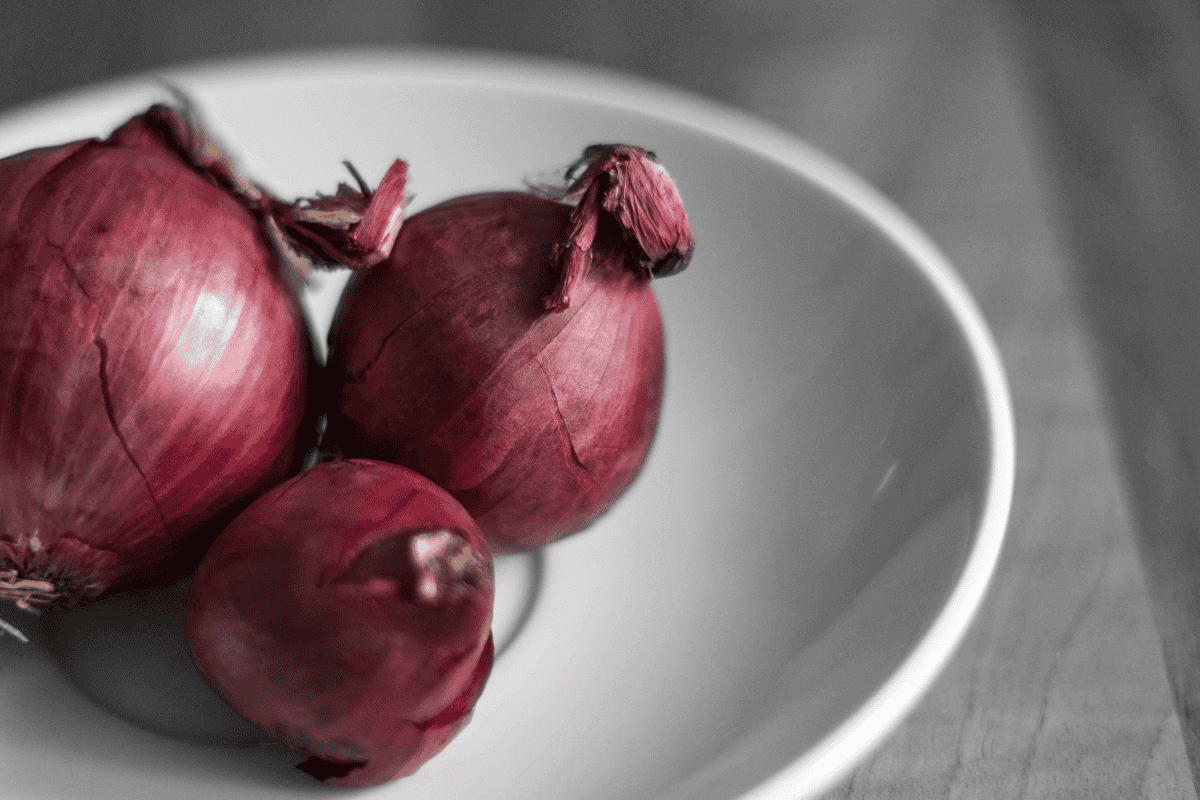 tipos de cebolla