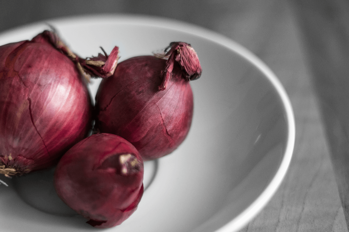 tipos de cebolla