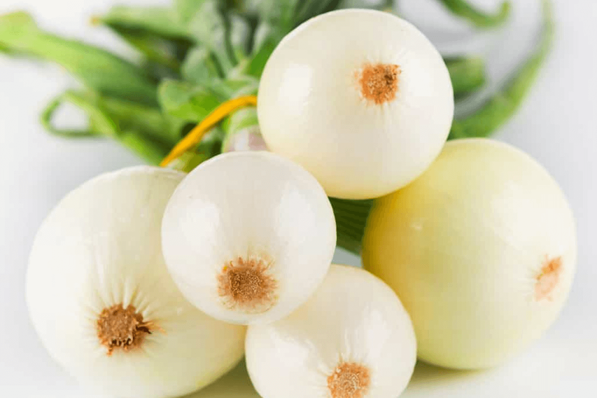 tipos de cebolla
