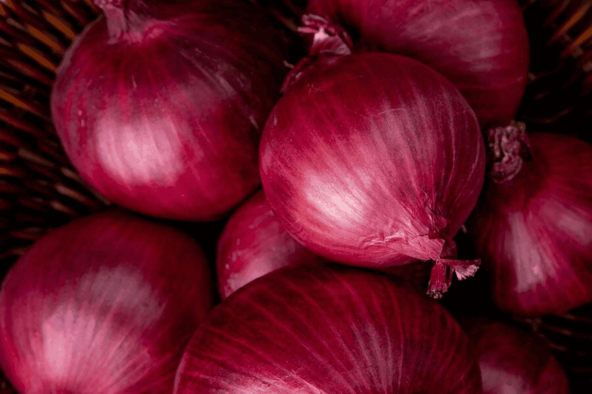 tipos de cebolla