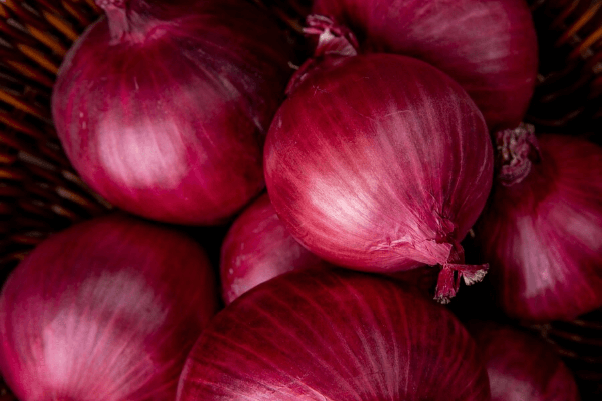 tipos de cebolla