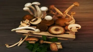 13 setas comestibles + guía para identificarlas y cocinarlas en casa