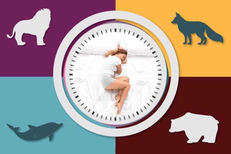¿Duermes como lobo o como león? Descubre tu cronotipo y aprovéchalo para dormir mejor