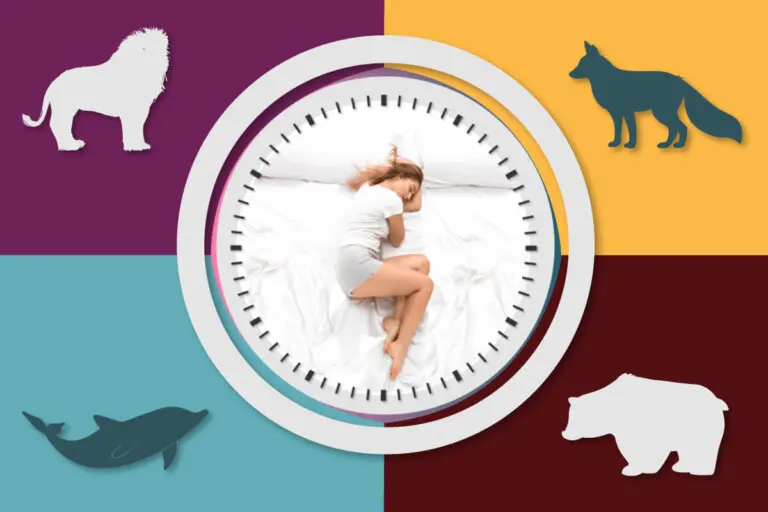 ¿Duermes como lobo o como león? Descubre tu cronotipo y aprovéchalo para dormir mejor