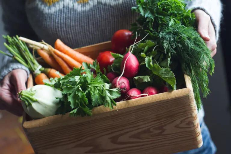 ¿Qué se puede sembrar en invierno? Guía completa para tu huerto