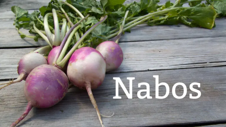 Descubre los beneficios y propiedades de los nabos