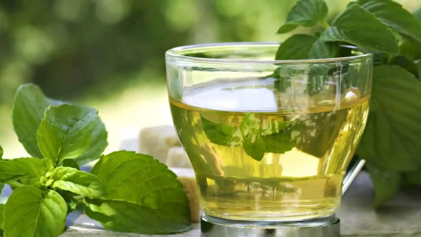 Té verde con catequinas que mejoran los estrógenos.