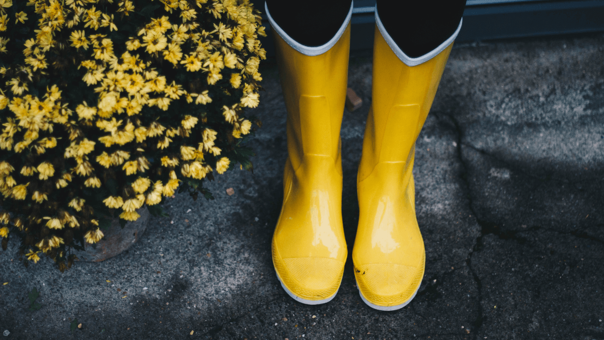 Botas de goma.