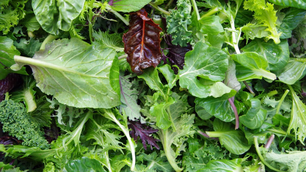 Lehtivihannekset eivät riko ajoittaista paastoa.