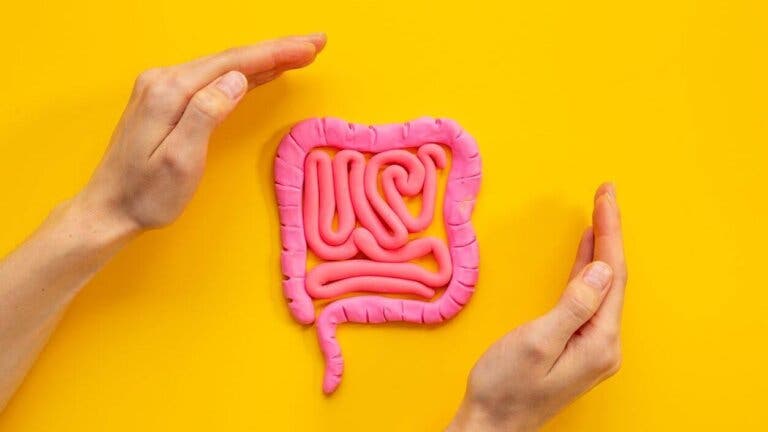 Cómo cuidar nuestra microbiota intestinal, según los expertos