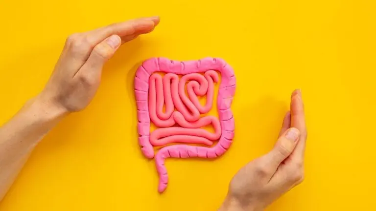 Cómo cuidar nuestra microbiota intestinal, según los expertos