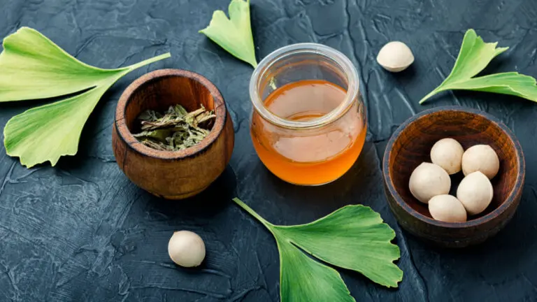 Ginkgo biloba: qué es, propiedades, beneficios y usos de este suplemento