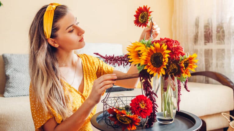 Guía del cuidado de girasoles en casa: todo lo que debes saber