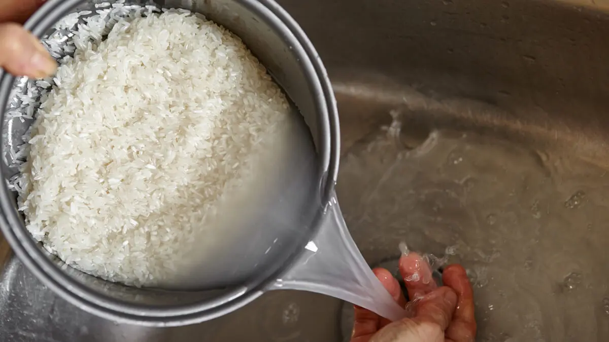 Lavado de arroz antes de cocinarlo.