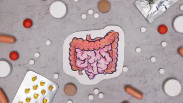 ¿Cómo ayudan los probióticos en el tratamiento con antibióticos?