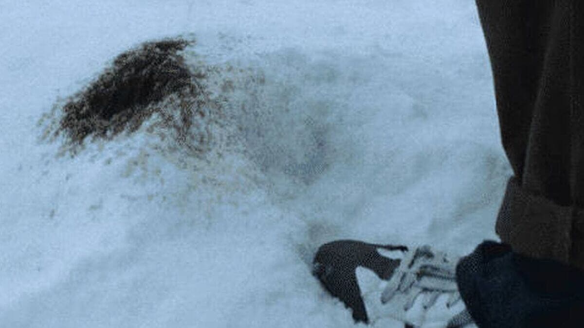 Orina negra en La sociedad de la nieve