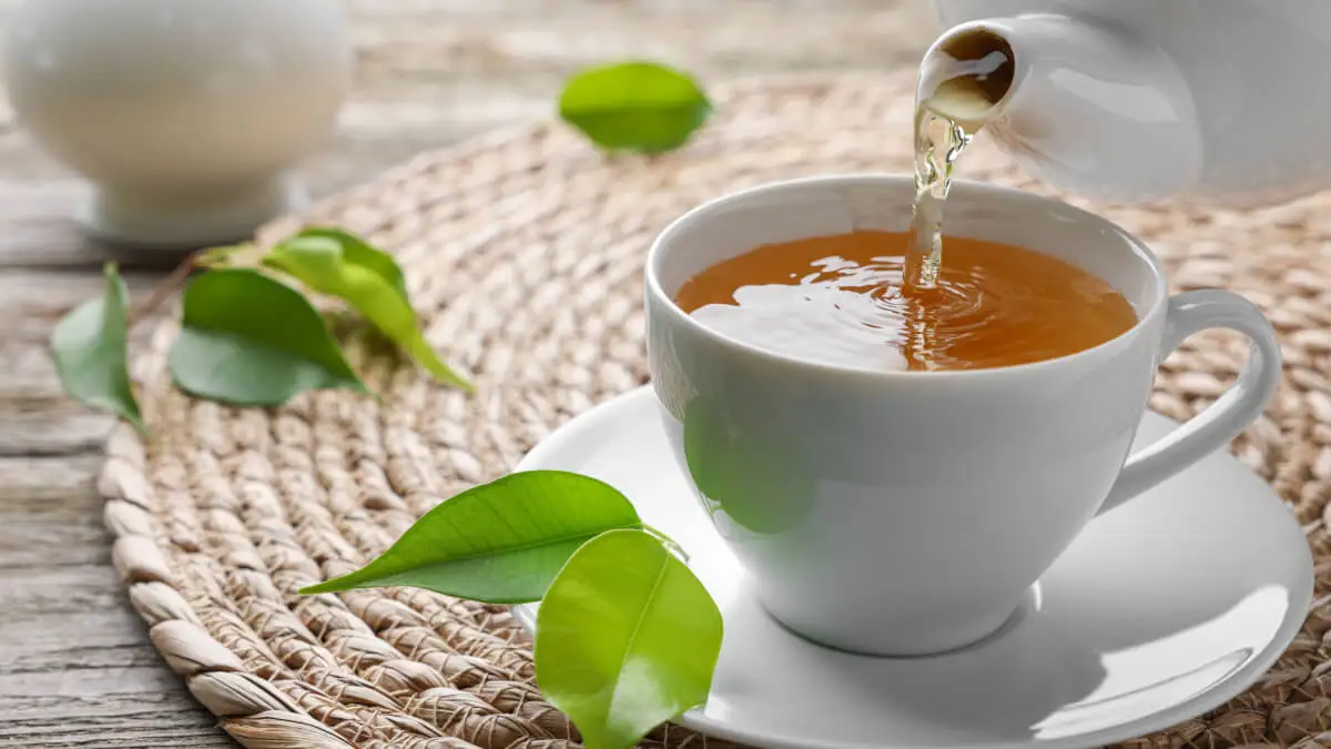 Infusiones para desintoxicar el cuerpo.
