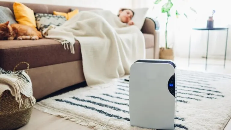 13 opciones de deshumidificadores para mejorar el ambiente en casa