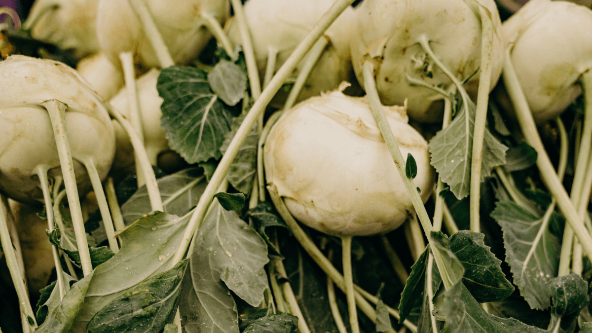 Las hojas de nabo son una de las verduras de hoja verde más nutritivas.