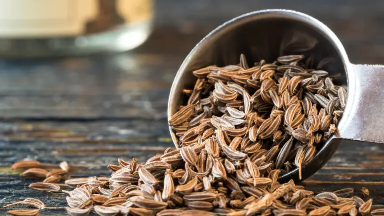 Alcaravea: nutrientes, beneficios y cómo usarla