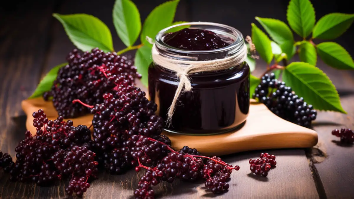 Confiture de sureau.